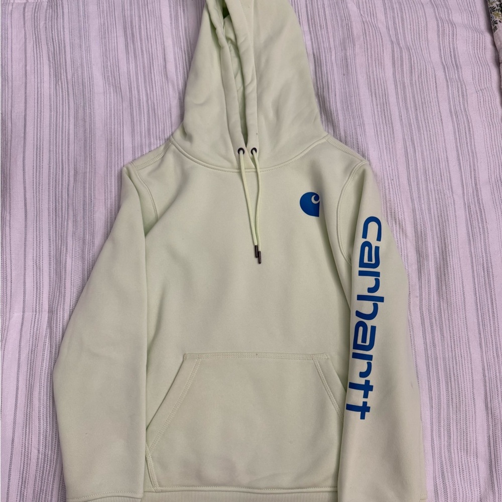 Carhartt Mint Green Relaxed Fit Hoodie